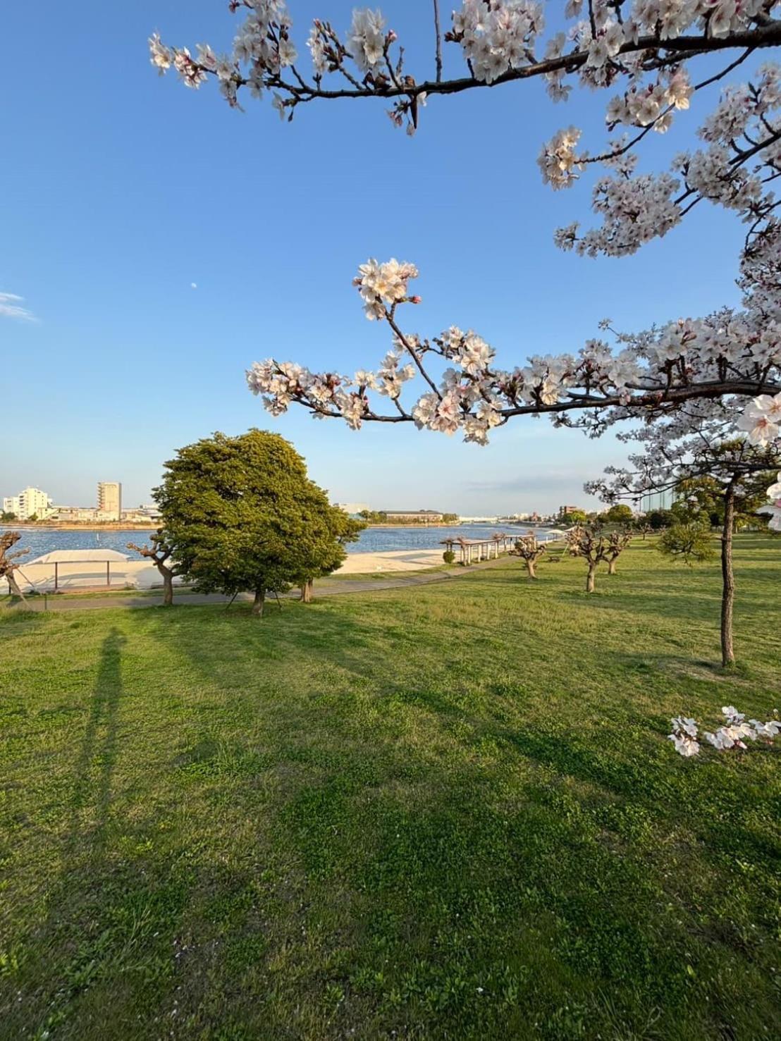 Vacation Inn Heiwajima I Prefektura Tokio Exteriér fotografie